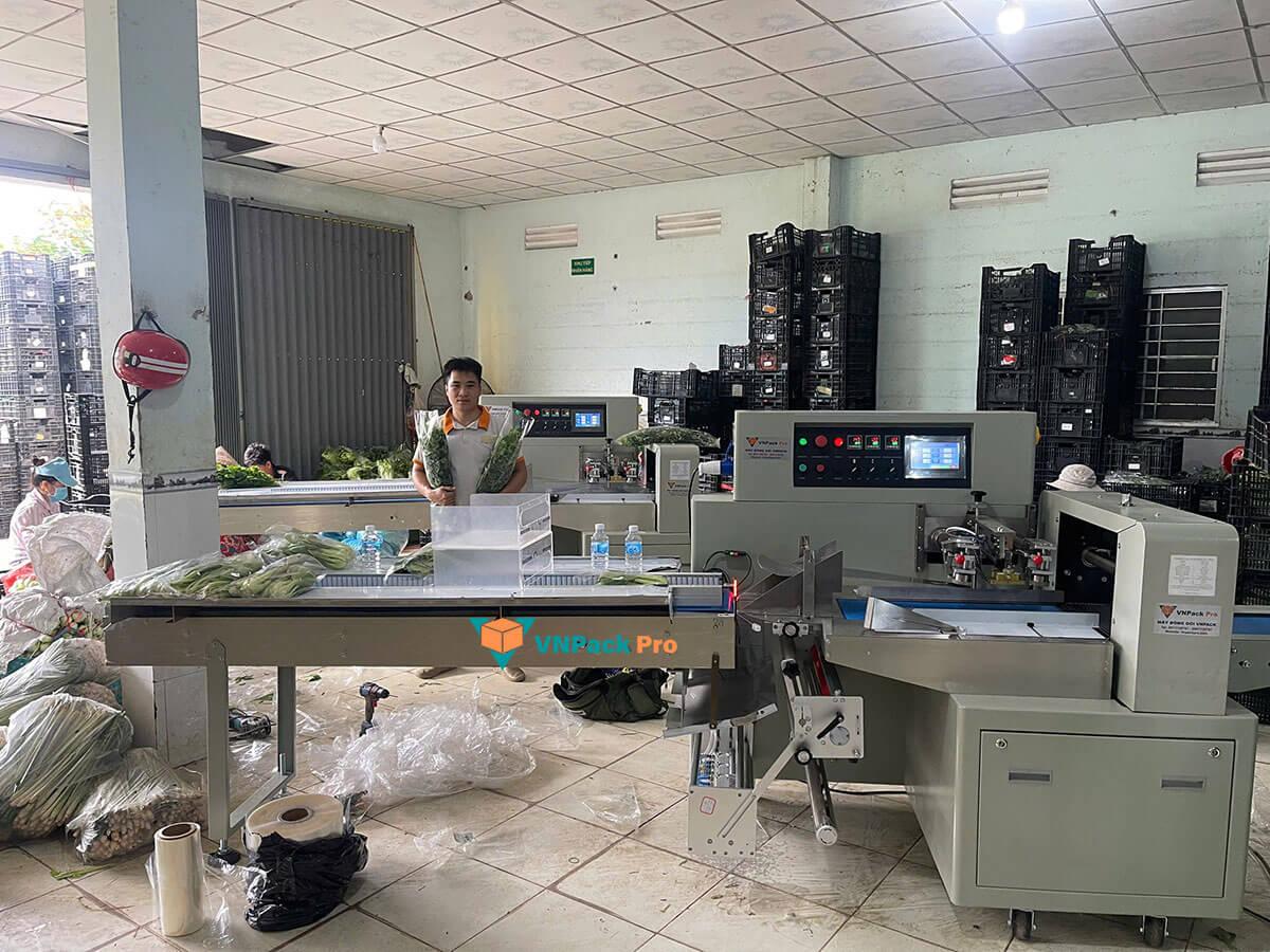 Máy đóng gói rau tự động lắp đặt cho khách hàng tại Tiền Giang, một trong những Hợp Tác Xã cung cấp rau củ cho BHX