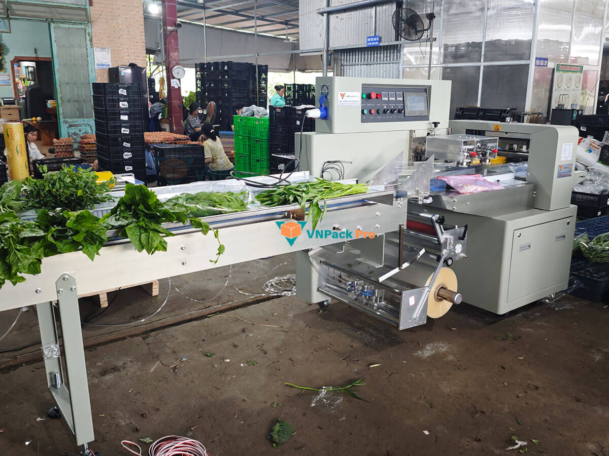 Máy đóng gói bịch rau lắp đặt cho khách hàng tại Đồng Nai, vùng cung cấp rau lớn cho chợ đầu mối tại HCM