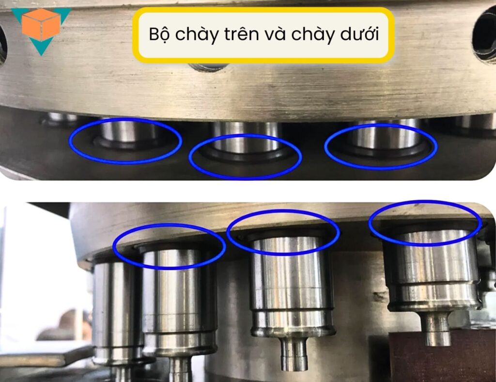 Bộ chày trên và chày dưới của máy dập viên nén ZP420-31D