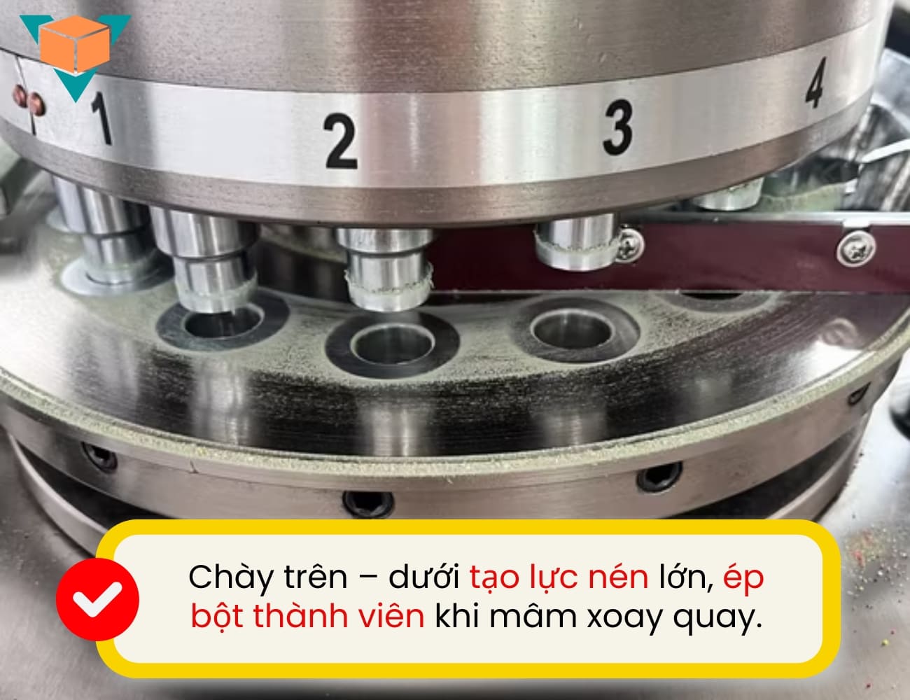 Máy dập viên nén ZP-17D sử dụng 17 chày dập bố trí trên mâm xoay tròn