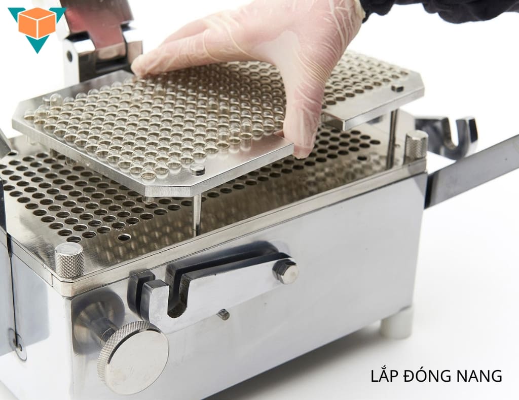 Lắp khay chứa viên nang rỗng vào khay tách viên của máy đóng viên nang thủ công 300 viên