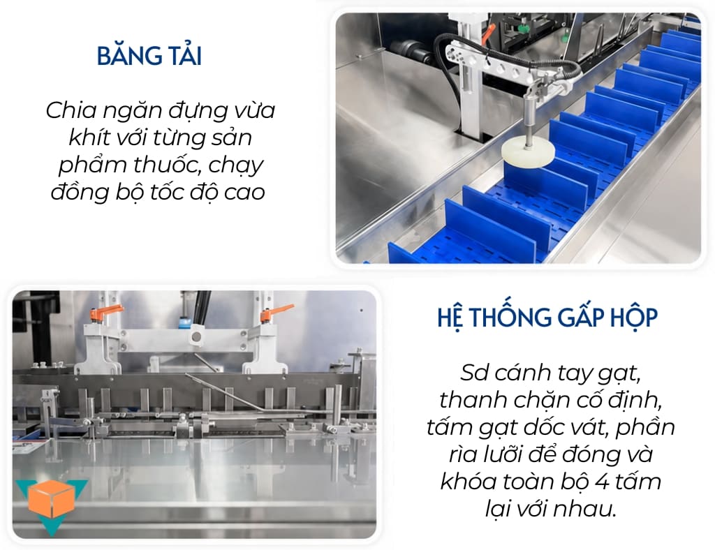 Băng tải và hệ thống gấp của máy đóng hộp VNP-120