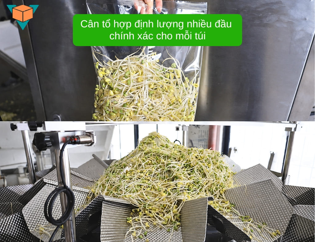 Máy đóng gói giá đỗ tự động trang bị đầu cân tổ hợp nhiều đầu định lượng cực kỳ chuẩn xác